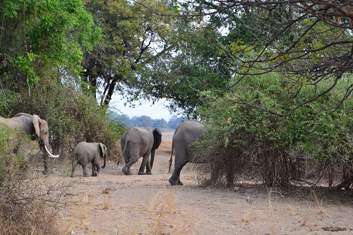 Is Zambia Safe? A traveler's guide to safety in Zambia so you know what