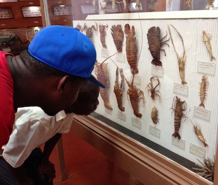 Natural History Museum Maputo