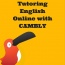 cambly english tutor bird bird