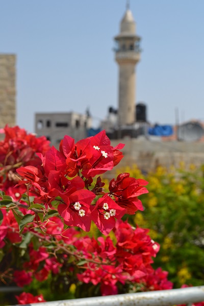 Ramallah Palestine