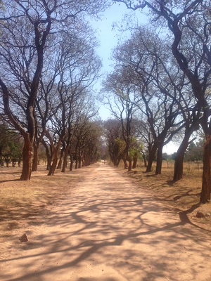 Solusi University Bulawayo