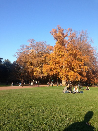 autumn in Lyon