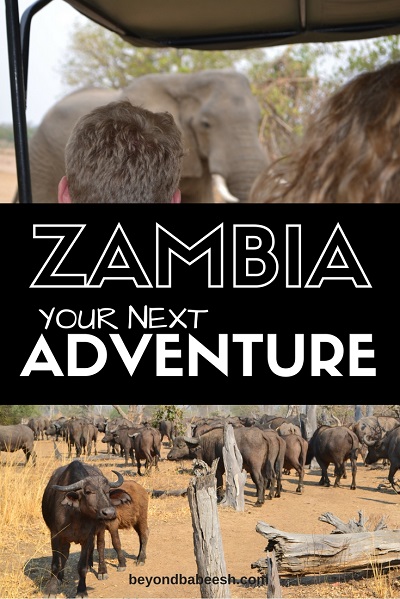 travel requirements to zambia from south africa