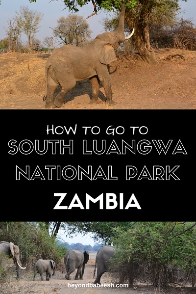 south luangwa national park from lusaka1