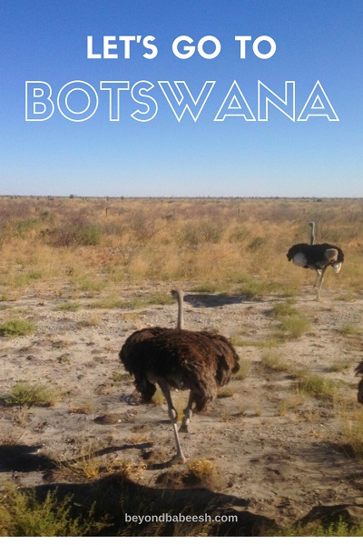 traveltobotswana1