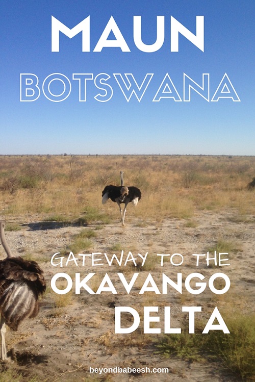 things to do in maun botswana1