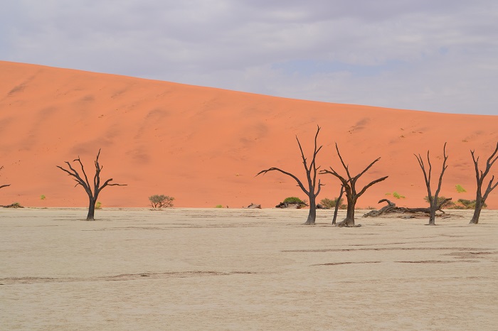 Unedited photo of sossusvlei Namibia