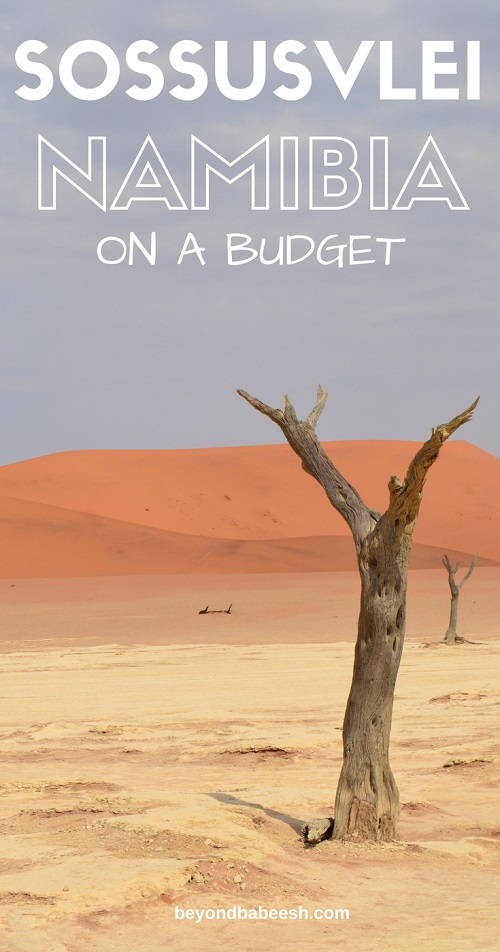 see sossusvlei independently and on a budget1