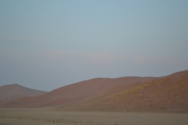 the red dunes at dawn