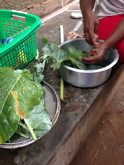 washing greens in uganda